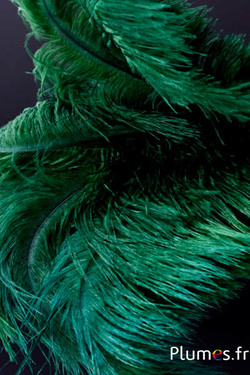 Autruche - 30-40 cm - vert sapin